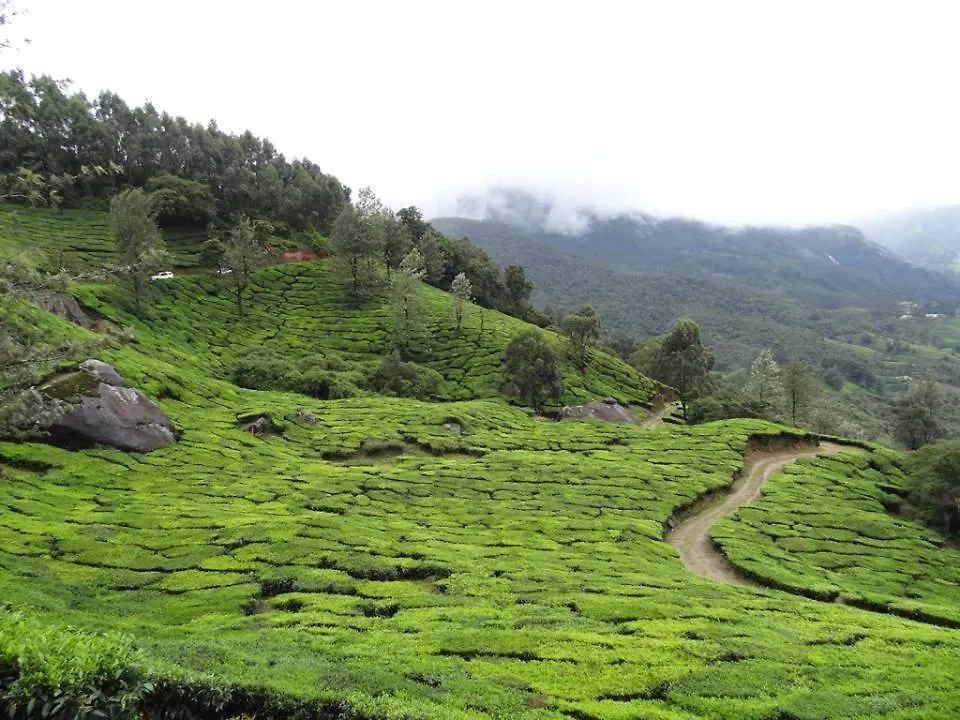 **** Hotel Munnar Black Forest Resort India